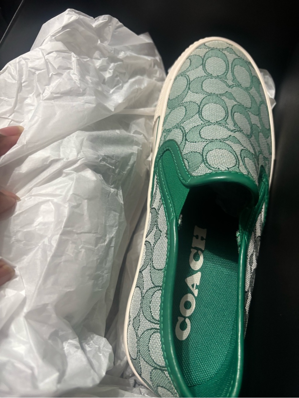 Coach Green Signature Slip-On Sneaker with White Trim